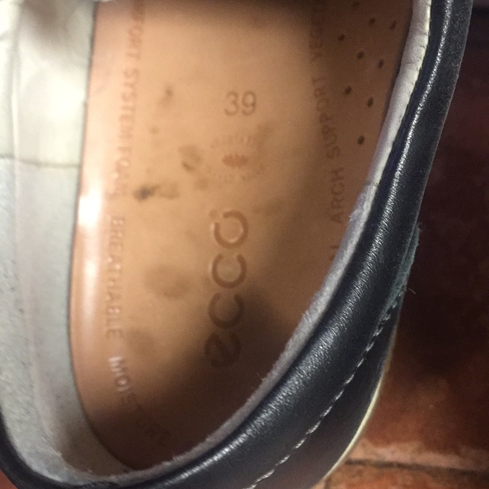 Ecco shoes